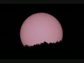 DILLO ALLA LUNA....(V. R.)