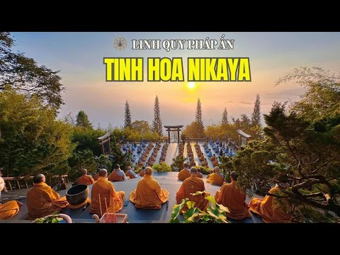 Tinh Hoa NIKAYA - Tham Sân Si Là Gốc Tội Ác - Sách Tấn "Hương Vị Chánh Pháp" *