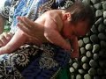 Alyssa dijemur di matahari pagi hari Alyssa dijemur di matahari pagi hari