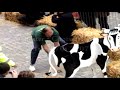 Cheese Rolling in Chester, UK