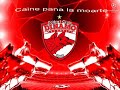 Dinamo-te-iubim-fara
