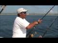 videos de Mexico Fishing