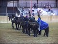 NE Friesian Horse Club - Medieval Drill Team July 30, 2005