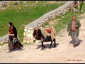 Haydar Ozturk  - Adiyaman,/ADIYAMAN BESNI UZERINE BIR KLIP!!