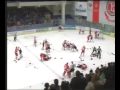 Драка на матче Витязь - Авангард