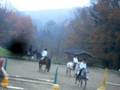 videos de obstacle 15 novembre