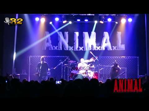 COBERTURAS: A.N.I.M.A.L en Rosario 11-7-2015