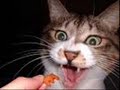 ads-for-life.html