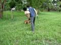 videos de zairon1.wmv