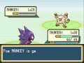 Taunter, and Phox Training Session