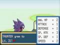 Taunter, and Phox Training Session