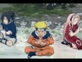 Sasuke and Sakura-Memory