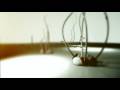 videos de PSYCLO