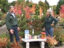Winter Bird Care Winter Bird Care