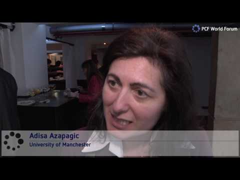 Adisa Azapagic