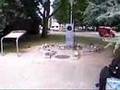 videos de WORLD PEACE FLAME in Den Haag Netherland Vredespalais