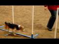 videos de Timo JP 16-11-2008