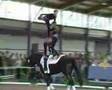 Rheinische Meisterschaft Voltigieren 2007