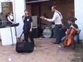 The Shivers Live at Okay Mountain