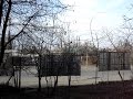 Paravoz