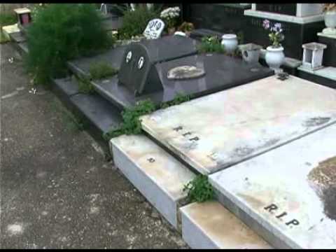 arrrested - Favourite-MaltaMedia: Addolorata Cemetery thieves arrrested. More news on http://www.maltamedia.com.