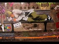 The Cans Festival - www.wallkandy.net The Cans Festival - www.wallkandy.net