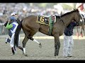 Barbaro *