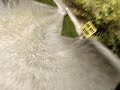 Alpine Slides - Lutsen (Nagraj)