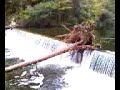 little dam on citico creek vonore tn.