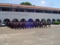 Tropa de cadetes (alunos oficiais) da PM do RJ