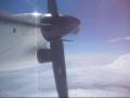 videos de power and adrenalin