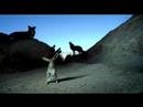 blip-the-lighthouse-interpol.html