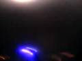 Rave flaten