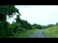 Vieques