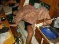 Mazury 2007