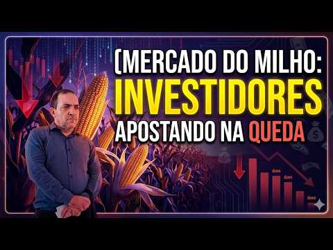 Mercado do milho: Por que os grandes investidores estão apostando na queda do cereal?