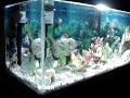 Aquario Estabilizado 