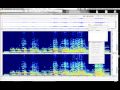 auditory stream segregation with Audiosculpt (IRCAM)