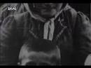 ΝΤΟΚΟΥΜΕΝΤΑ-Η ΜΙΚΡΑΣΙΑΤΙΚΗ ΚΑΤΑΣΤΡΟΦΗ1