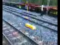 el tren raro se va de la estacion de mallabia