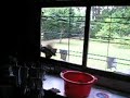 Videos Graciosos 