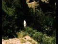 METAMORFOSI-Metamorp