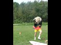 Stephens Hannah Mantanna Banana Dance