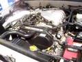 tacoma dyno