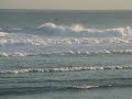 インドネシア最南端ロテ島のナンブララ海岸(3)　Pantai Nemberala, Pulau Rote, NTT