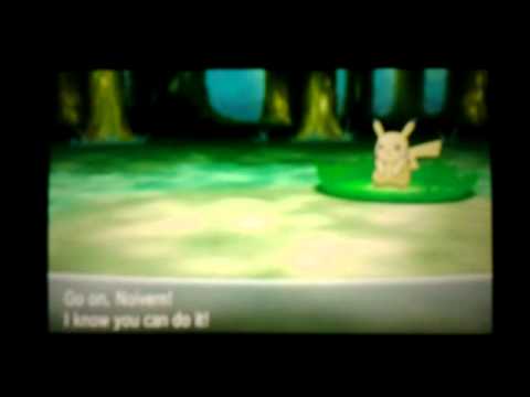 how to obtain light ball in pokemon y