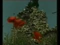 Brienza una storia lucana: Il Castello Caracciolo Brienza una storia lucana: Il Castello Caracciolo