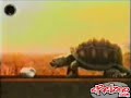 Tortuga brahma