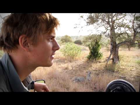 Remarkable Leopard Sighting – Singita Kruger National Park
