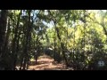 Rosewood: Rediscovering an almost forgotten past